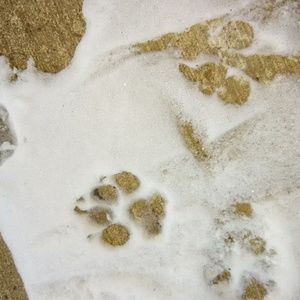 Meet your Posher, Charlene